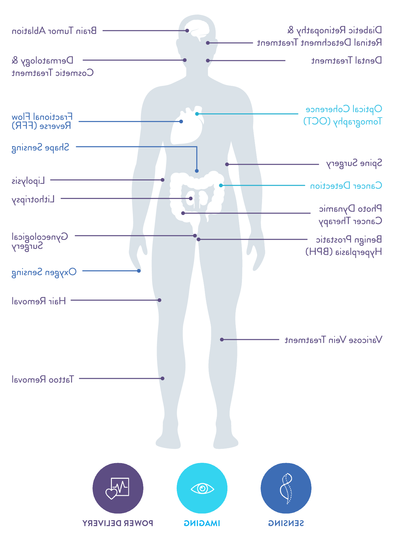 Graphic Showing some Medical Applications of Optical Fiber